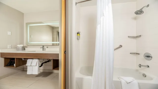 جناح بسرير كينج مع أريكة بمنطقة جلوس، Holiday Inn Express Hotel And Suites Fremont Milpitas Central 3/3