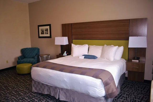 Room, King Bed, Bathtub, Accessible, Best Western Dubois Hotel 1/3