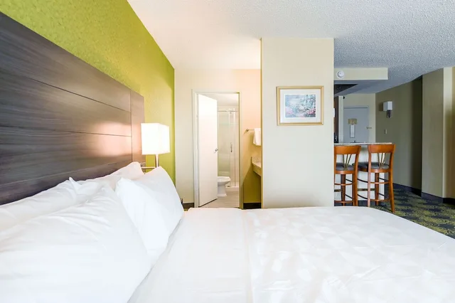 جناح بسرير كينج، Holiday Inn Charlottesville-Univ Area 3/4