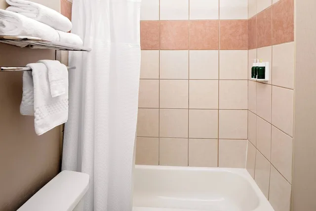 استوديو بسريرين كوين مع أريكة لذوي الإعاقة، SpringHill Suites by Marriott Ardmore 4/4