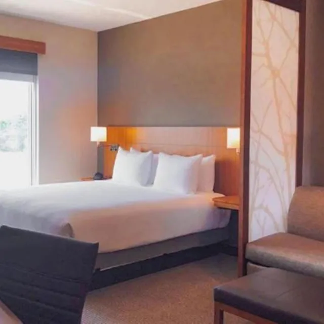 جناح بسرير كينج بغرفة نوم واحدة مع أريكة، Hyatt Place Houston-Northwest / Cy-Fair 1/3