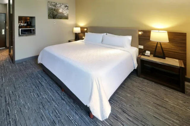 Standard, King Bed, Balcony, Middle Floor, Holiday Inn Express Suites Monterrey Valle 3/5