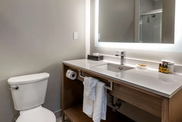 غرفة تنفيذية بسرير كينج مع أريكة، Best Western Plus Dartmouth Hotel Suites 3/3