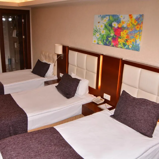 Room, Triple, ASRIN BUSINESS HOTEL 2/10