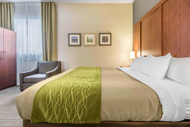 جناح بسرير كينج، Comfort Inn & Suites Collingwood 2/3