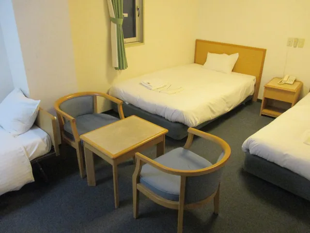 غرفة قياسية ثلاثية بثلاثة أسرّة، Hotel Green Well 4/5