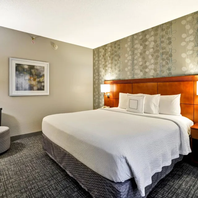 1 Bedroom, Renovated, Suite, King Bed, Sofa, Courtyard By Marriott Dallas Medical Market Center 1/3