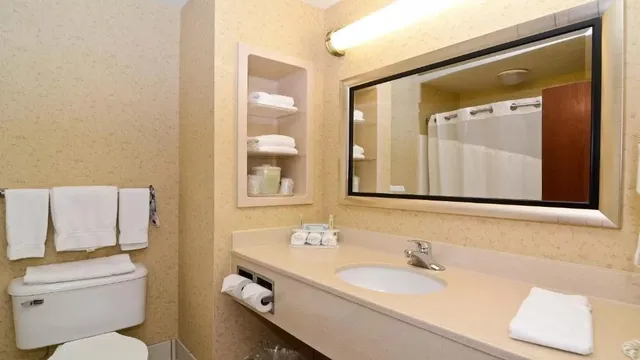 جناح بسرير كينج مع أريكة بحوض جاكوزي، Holiday Inn Express Hotel Suites Fort Atkinson 6/6