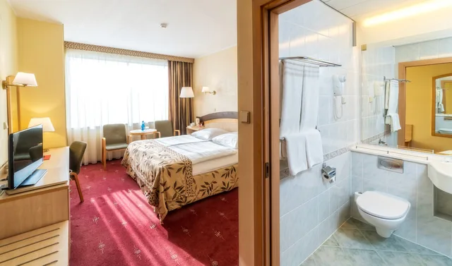 غرفة قياسية بإطلالة على النهر مفردة بسرير كينج، Hotel Park Plaza 5/11