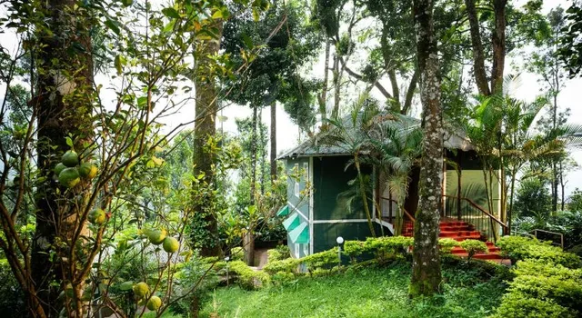 BLUE BELLS VALLEY RESORT، مونار 24/55