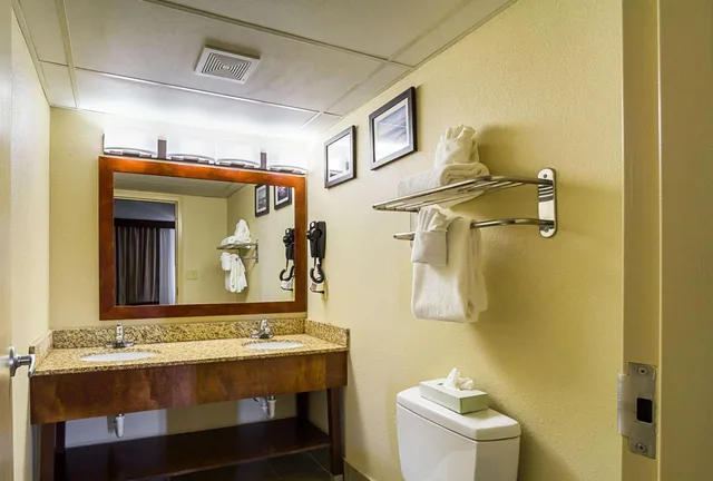 جناح ديلوكس بسرير كينج، Comfort Inn Cleveland Downtown 7/10