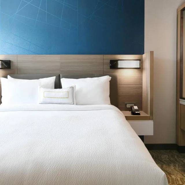 جناح بسرير كينج مع سرير سحّاب إضافي مع أريكة، Springhill Suites By Marriott Dallas Dfw Airport South/Centreport 2/6