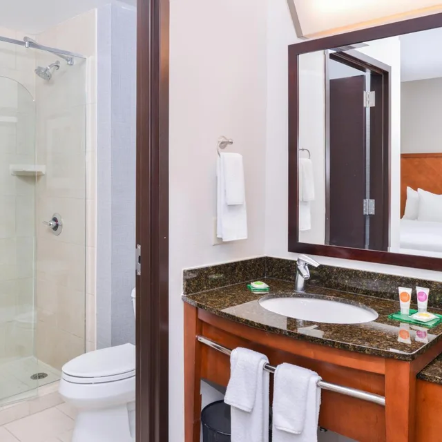 Room, 2 Queen Beds, Sofa, High Floor, Hyatt Place Chesapeake/Greenbrier 8/8
