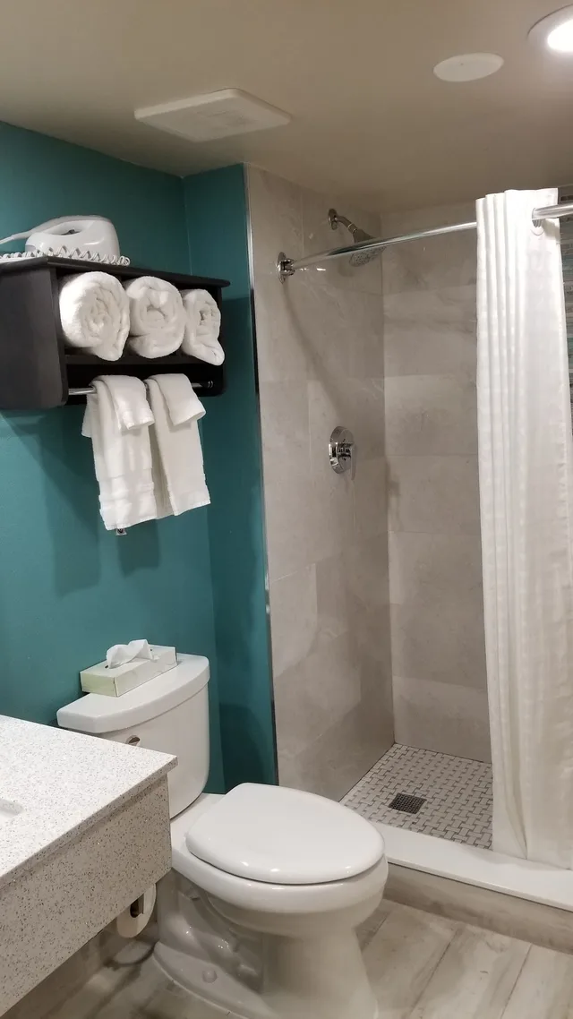 غرفة قياسية بسرير كينج، Best Western Intracoastal Inn 5/7