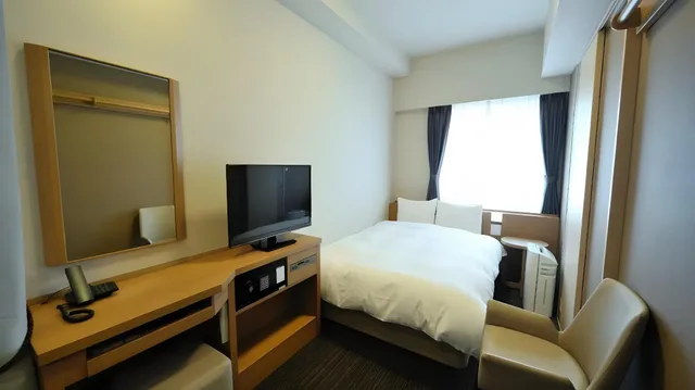 Economy, Single, Dormy Inn Akihabara 1/8
