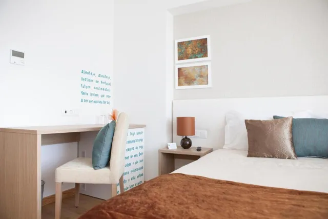 Deluxe, Double Bed, Flag Hotel Aljustrel 4/10