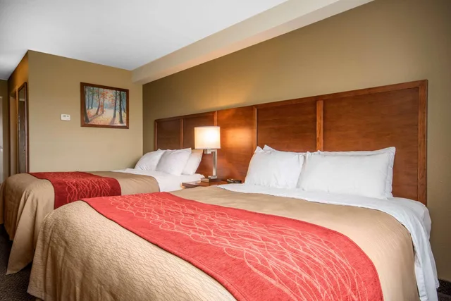 غرفة رباعية بسريرين كوين، Comfort Inn & Suites Langley - Fraser Highway 2/3