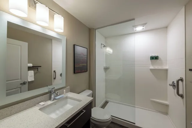 استوديو بسرير كينج مع أريكة لذوي الإعاقة، TownePlace Suites by Marriott St. Louis Edwardsville, IL 2/2