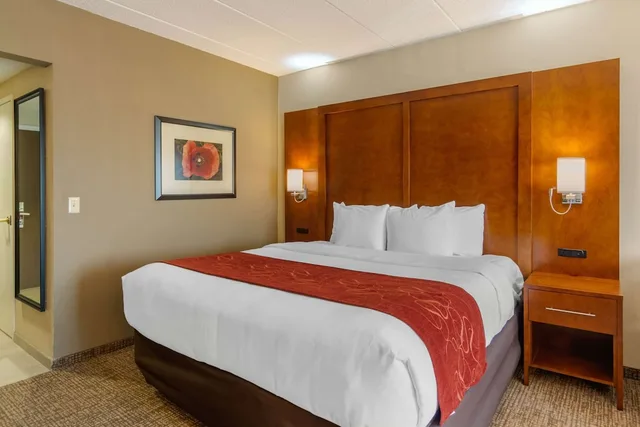 جناح استوديو بسرير كينج مع أريكة لذوي الإعاقة، Comfort Suites South Park 6/10