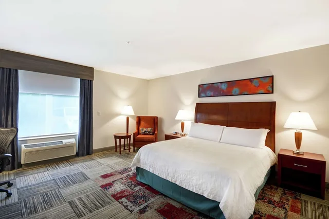 Evolution, King Bed، Hilton Garden Inn Gulfport Airport 1/4