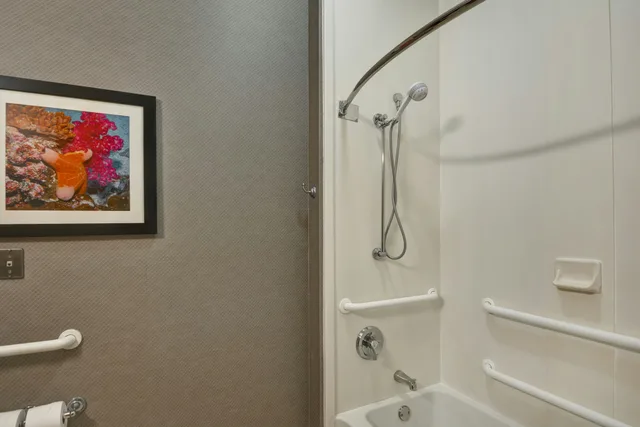 غرفة بسريرين كوين لذوي الإعاقة، Hampton Inn West Palm Beach Fl Turnpike 6/6