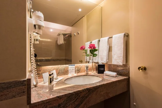 غرفة قياسية بسرير مزدوج، Royal Plaza Montreux Hotel 7/8