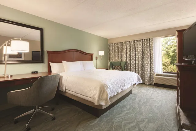 غرفة ديلوكس بسرير كينج، Hampton Inn By Hilton Richmond-North/Ashland 6/9
