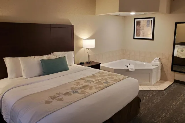 غرفة ديلوكس بسرير كينج مع أريكة، Cobblestone Suites Oshkosh 1/5
