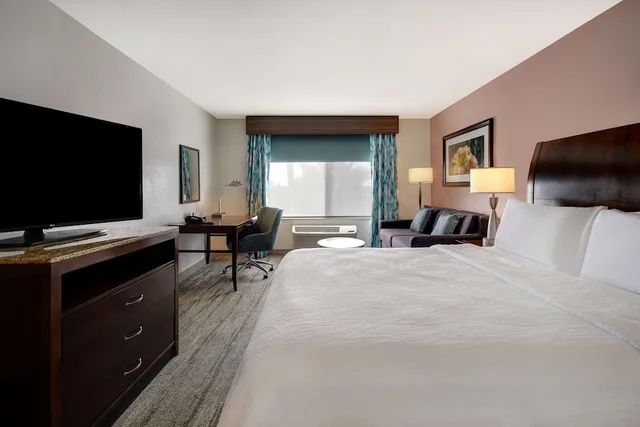 غرفة ديلوكس بسرير كينج مع أريكة، Hilton Garden Inn Ft Myers 1/5