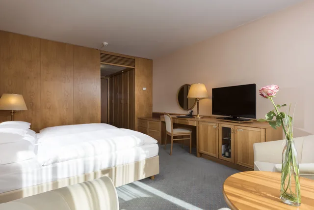 غرفة قياسية مفردة، MARITIM HOTEL MAGDEBURG 2/3