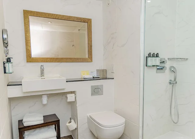 King Deluxe Room With Water View، Doubletree By Hilton London Excel 7/7