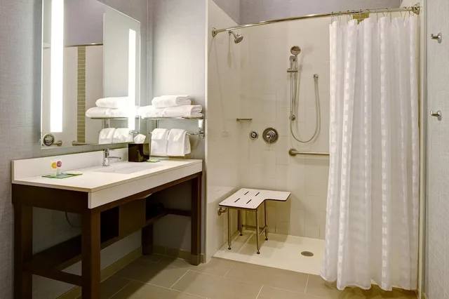 غرفة بسرير كينج مع أريكة لذوي الإعاقة، Hyatt Place St Paul Downtown 2/2
