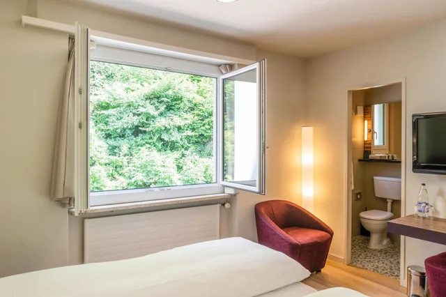 غرفة كلاسيكية بسريرين منفصلين، Hotel Seeburg Luzern 5/10