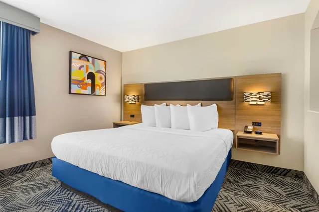 جناح بسرير كينج مع أريكة، Best Western Plus Hotel Lewisville Flower Mound 1/3