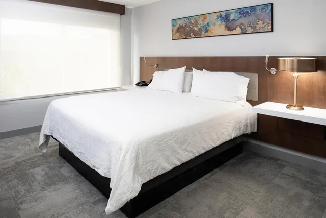 Junior Suite, King Bed, Sofa, Accessible, Hilton Garden Inn Baton Rouge Airport 2/5