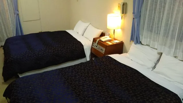 غرفة قياسية بسريرين منفصلين، Sky Heart Hotel Kawasaki 1/1