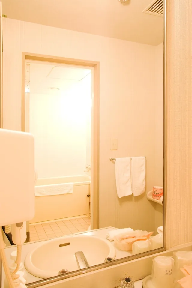 Deluxe, Twin Beds, Living Area, Kitchen, Hotel Anbient Tateshina 3/4