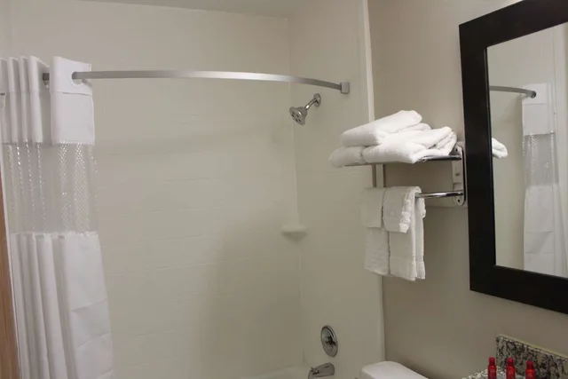 غرفة بسرير كوين بحوض استحمام لذوي الإعاقة، Ramada by Wyndham Cedar Rapids South 2/2