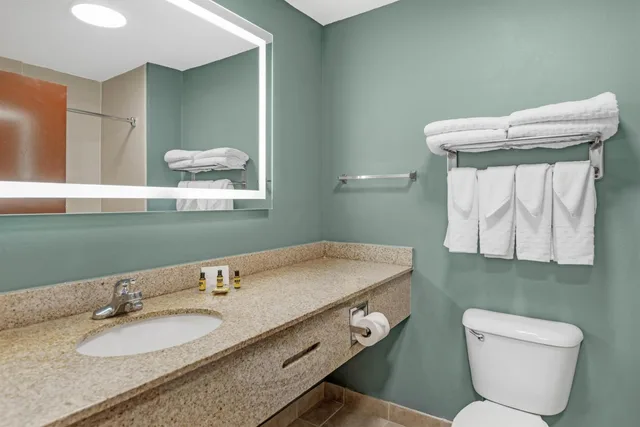 غرفة مفردة بسرير كينج مع أريكة، Best Western Plus Glen Allen Inn 6/8