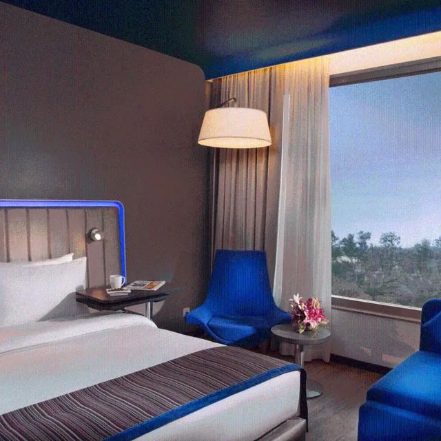غرفة ديلوكس بسرير مزدوج، Park Inn By Radisson Gurgaon Bilaspur 2/4