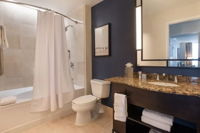 جناح ركني بسرير كينج بإطلالة على المدينة، Magnolia Hotel Houston 3/4