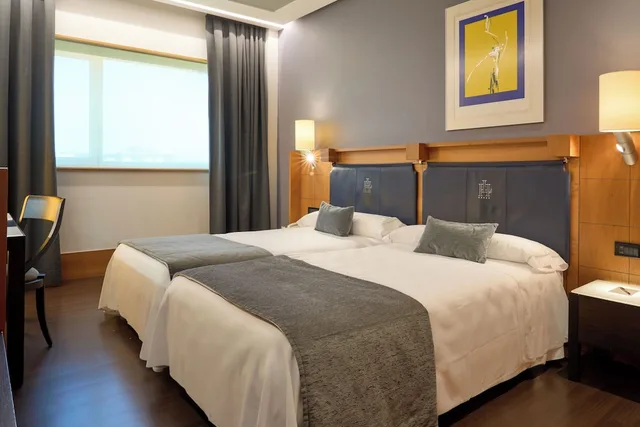 غرفة قياسية بسريرين منفصلين، Gran Hotel Lakua 1/3