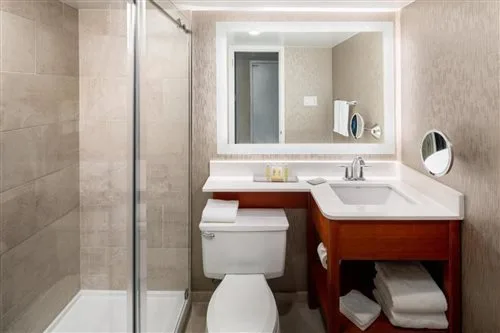 غرفة بسرير كينج بحوض استحمام لذوي الإعاقة، DoubleTree by Hilton Ann Arbor North (ex Holiday Inn Ann Arbor-Near The Univ. Of Mi) 1/1