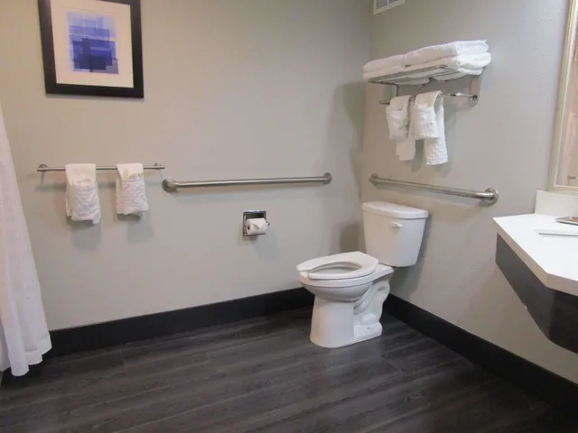 غرفة بسرير كينج لذوي الإعاقة، Best Western Plus Bloomington East Hotel 2/3