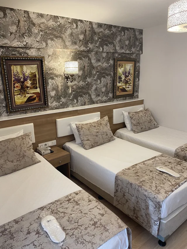 Room, Triple, 3 Beds, Polanin Hotel Istanbul 4/7