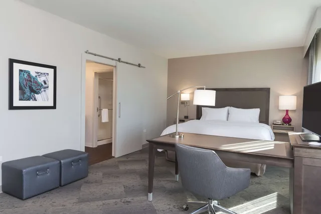 استوديو بريميوم بسرير كينج مع أريكة، Hampton Inn Suites By Hilton Chicago Schaumburg Il 1/2