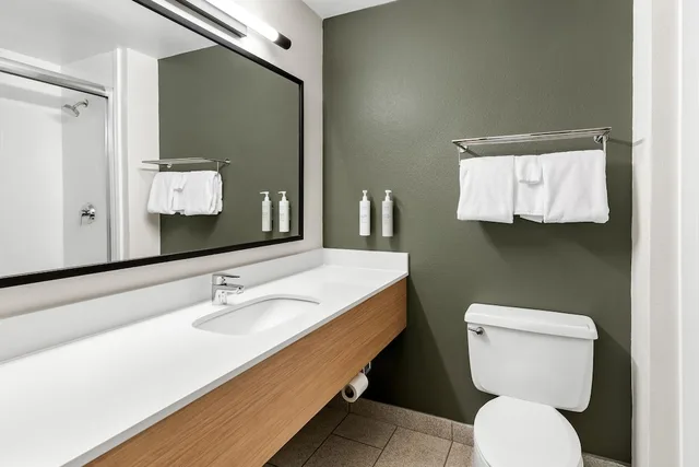 غرفة بسرير كينج لذوي الإعاقة، Spark by Hilton Akron Fairlawn 4/4