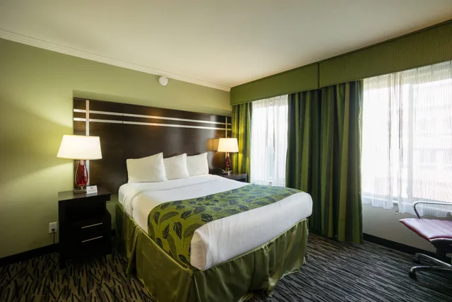 غرفة قياسية بسرير كوين، Motel Capri 5/9