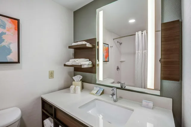 standard, Hilton Garden Inn Boston Waltham 3/4