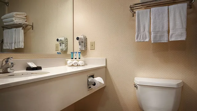 غرفة قياسية بسرير كينج، Best Western Plus Twin View Inn & Suites 7/7